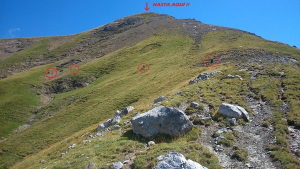 DSC_0437.JPG