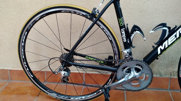 Merida2.jpg