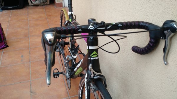 Merida 3.jpg