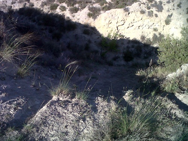 cabras-cabras / Zaragoza-20120515-00099.jpg Zaragoza-20120515-00099.jpg