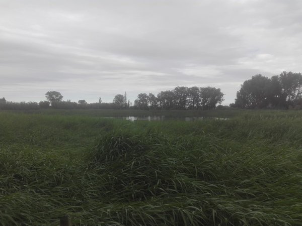 IMG-20180610-WA0009.jpg