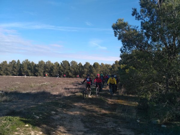IMG-20190119-WA0022.jpg
