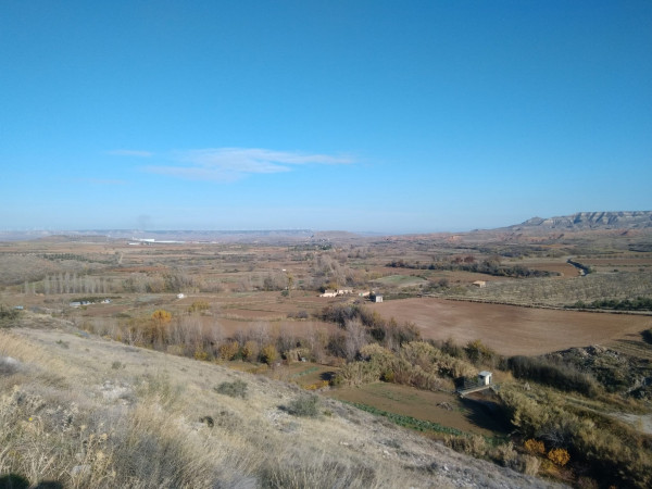 IMG-20191206-WA0011.jpg