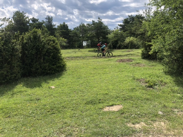 0335E1C1-63E4-4A41-870C-7CAC7D469515.jpeg (165.9 KiB) Visto 882 veces 0335E1C1-63E4-4A41-870C-7CAC7D469515.jpeg