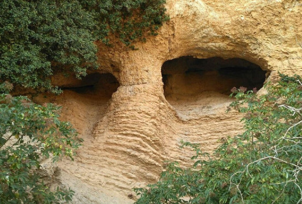 Cueva de la hiedra.jpg