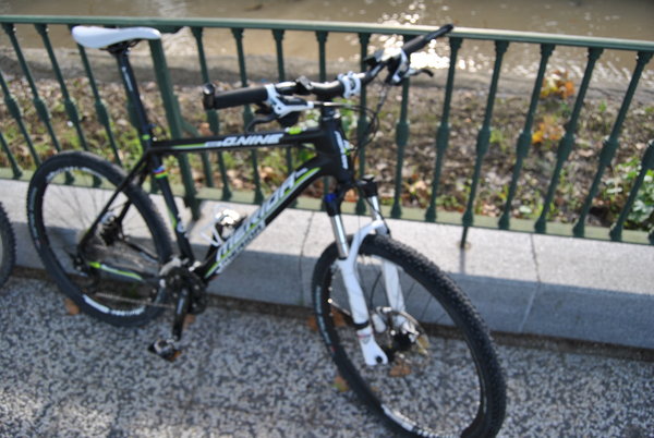 merida5.JPG